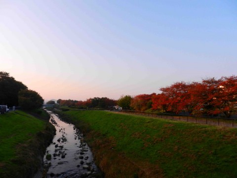 DSCN436702