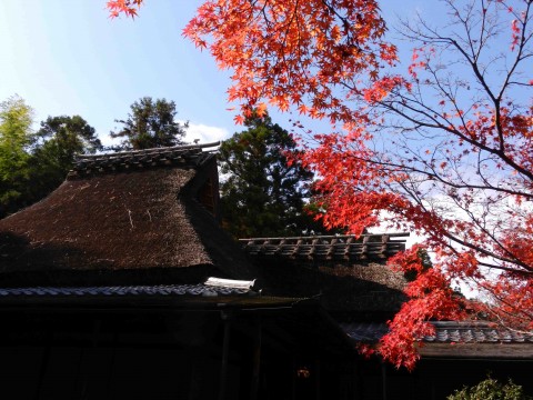 DSCN462702