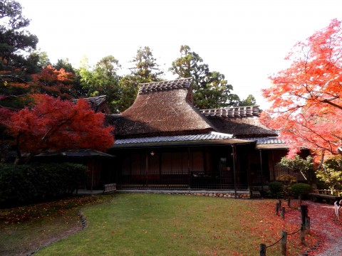 DSCN463602