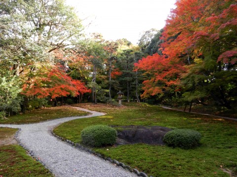 DSCN463702