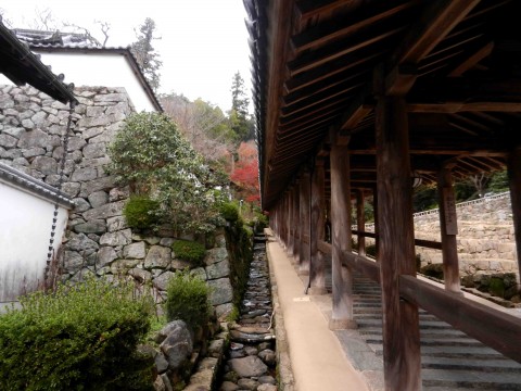 DSCN471302