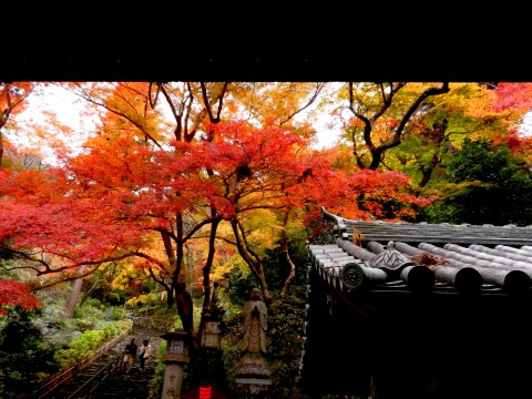 DSCN472702
