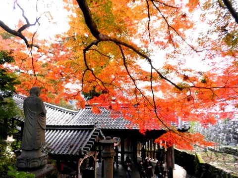 DSCN482802