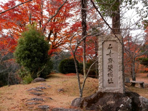 DSCN486302