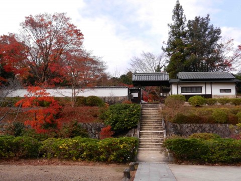 DSCN486402