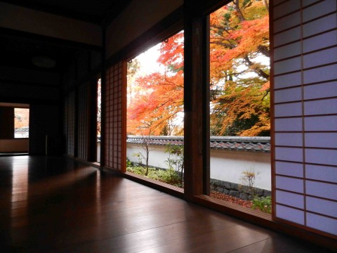 DSCN490702
