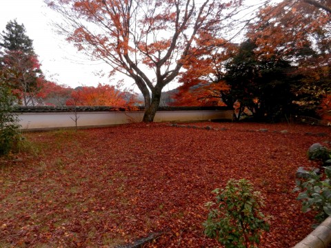 DSCN493102