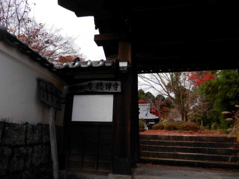 DSCN493302
