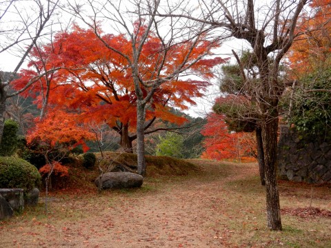 DSCN4935