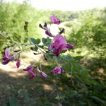DSCN978902