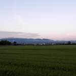 DSCN984002