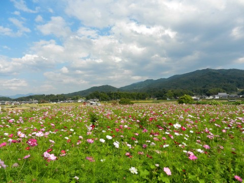 DSCN701602