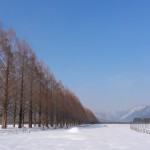 DSCN9258