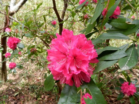 DSCN023002