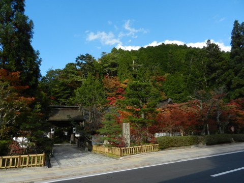 DSCN7167