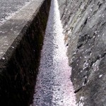 DSCN607602