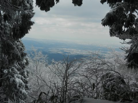 DSCN3411
